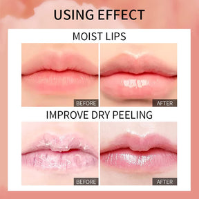 Lip Care Ampoule Nourishing Hydrating And Moisturizing Transparent Care Fruit Flavor Lip Gloss Makeup