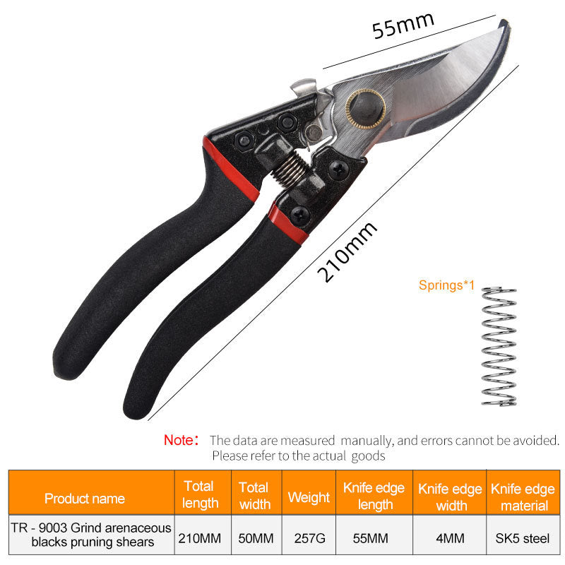 Pruning fruit trees pruning branches garden scissors