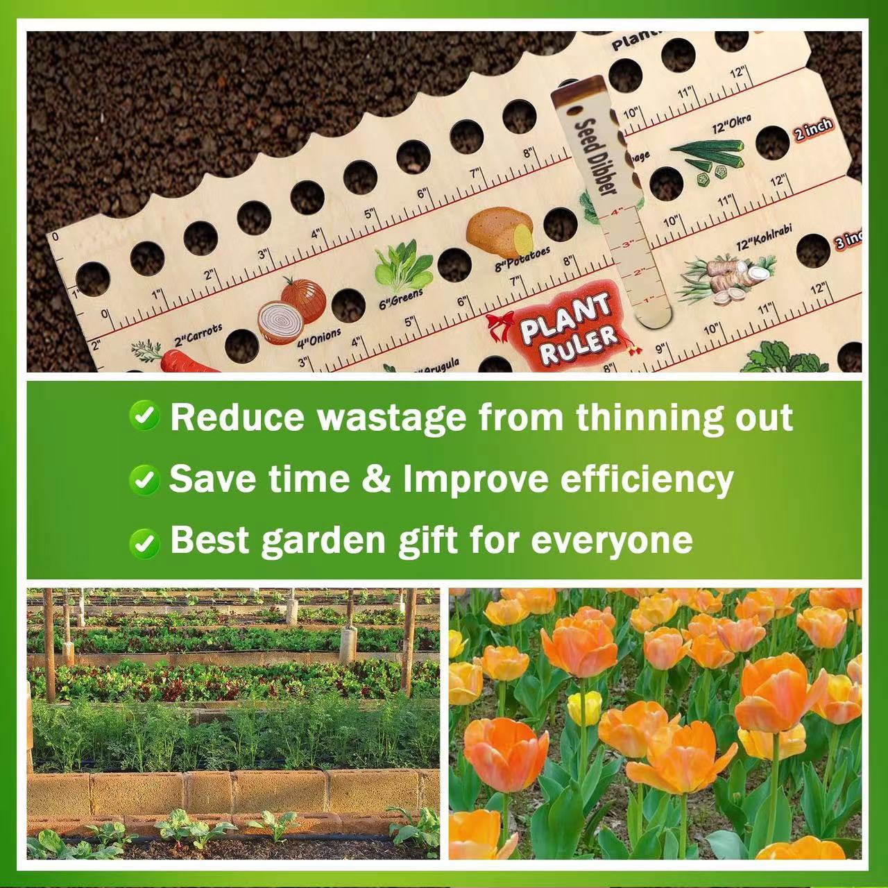 Garden Wooden Multifunctional Seedling Planting Ruler